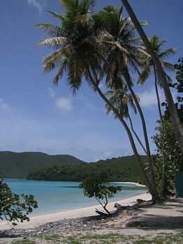 Maho Bay